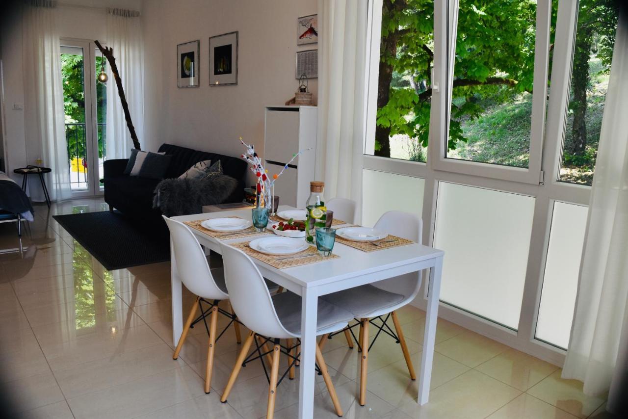 Studio Apartment Stazion With Free Parking พาซิน ภายนอก รูปภาพ